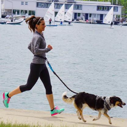 Laisse Main Libre Sportive pour Chiens